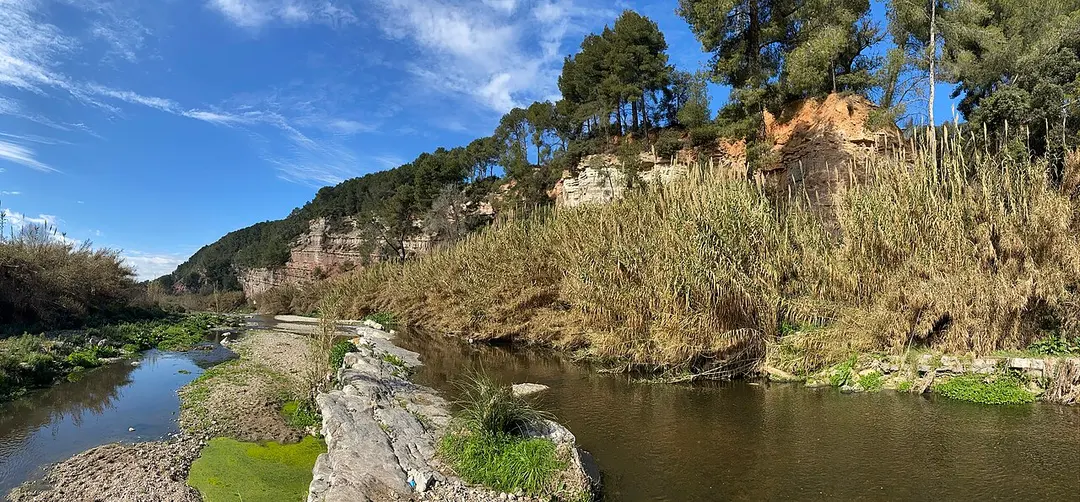 Turó de Can Calopa