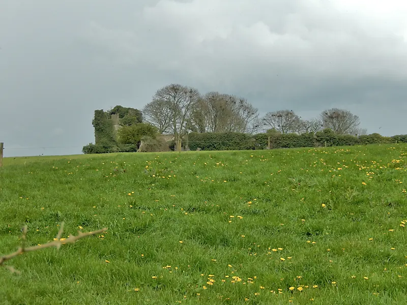 Garryhiggin Castle (ruin)