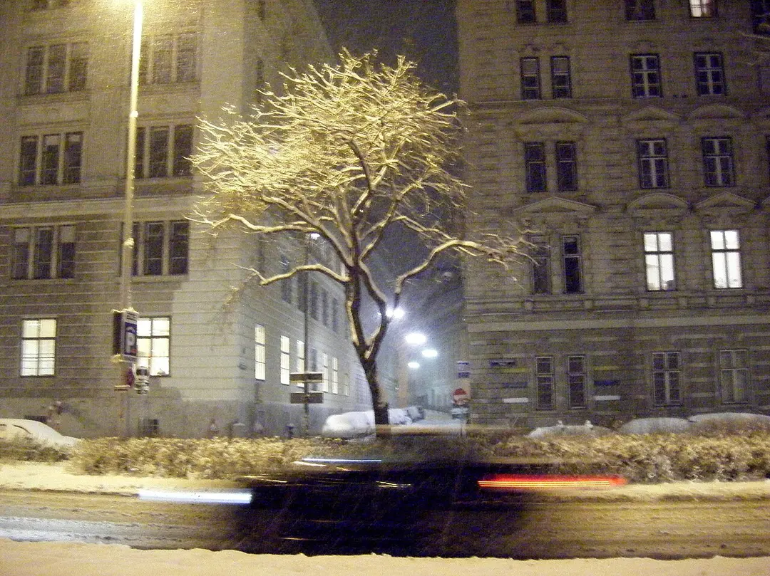 Friedrich-Schmidt-Platz