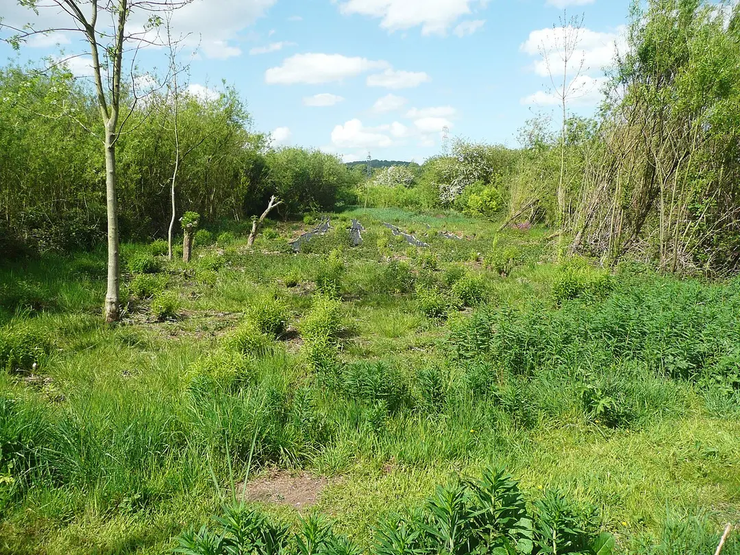 Rodley Nature Reserve