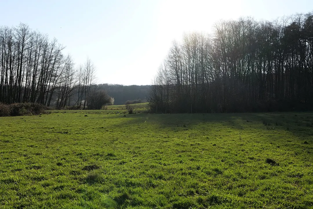 Hinterste Neuwiese bei Kronberg