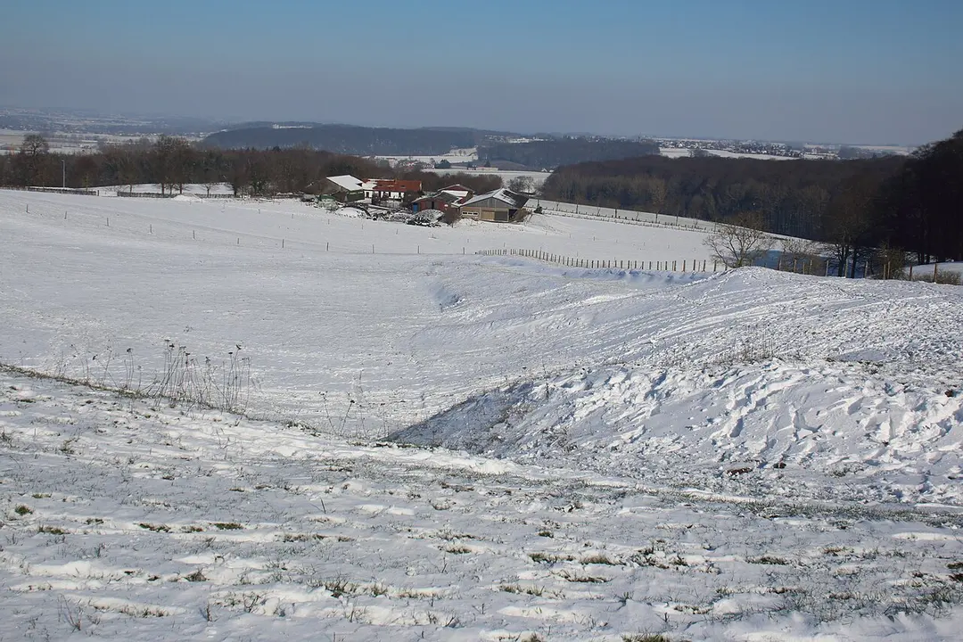 Hotondmolen