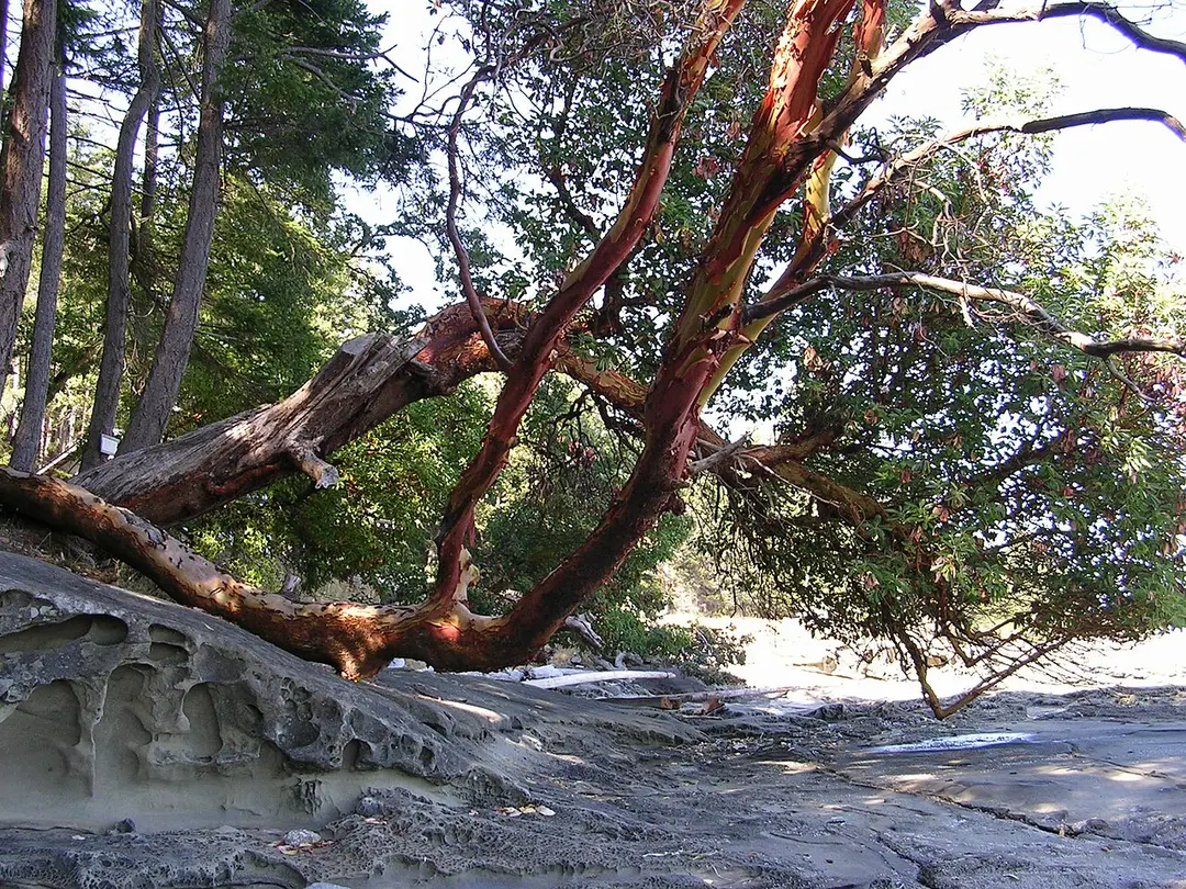Gabriola Island