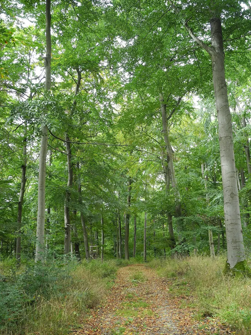 Warmberg-Osterberg