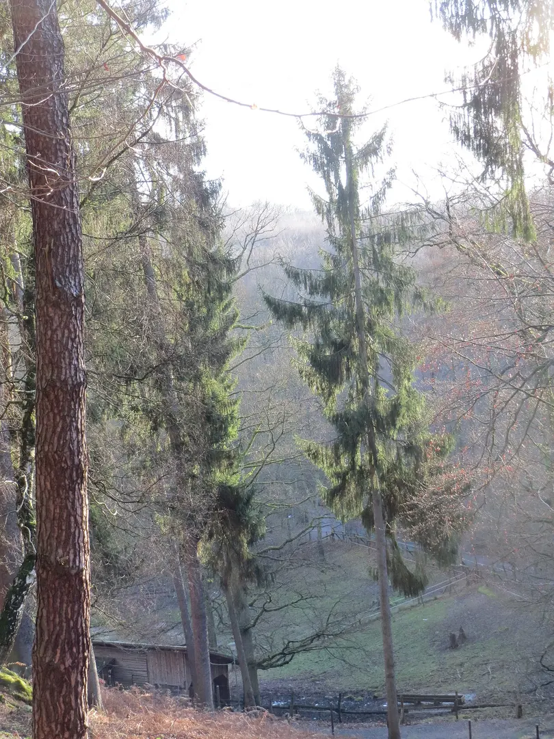 Wildpark Saarbrücken