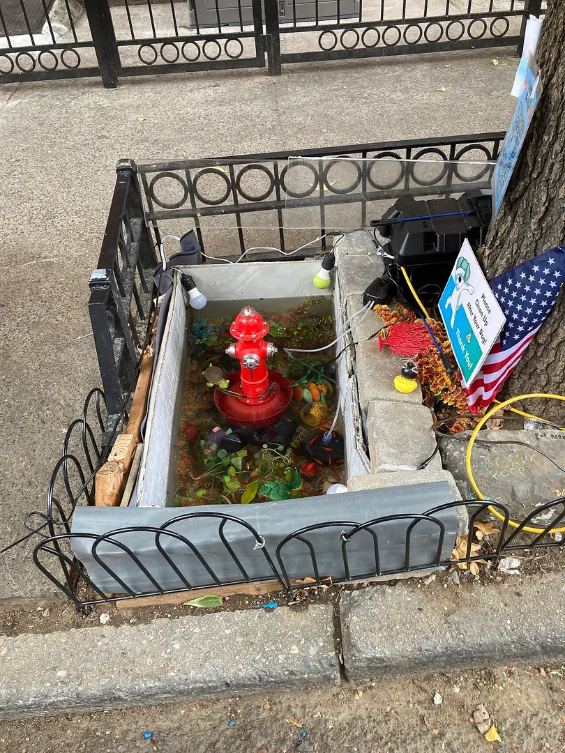 Bed-Stuy Aquarium