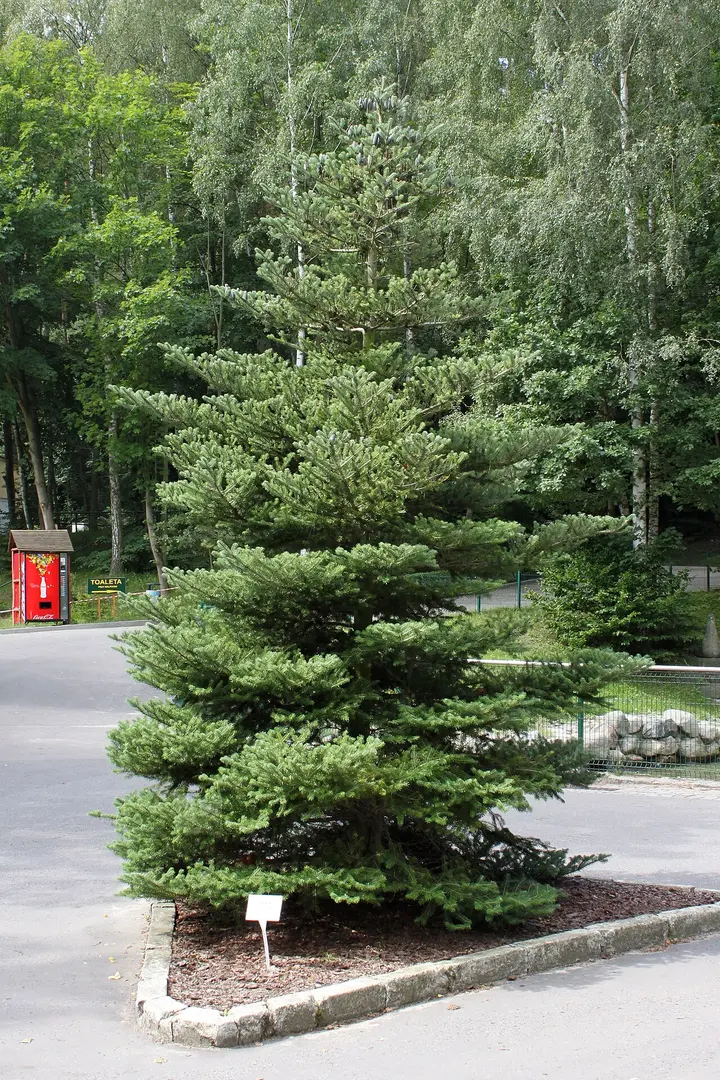 Zoo Gdańsk