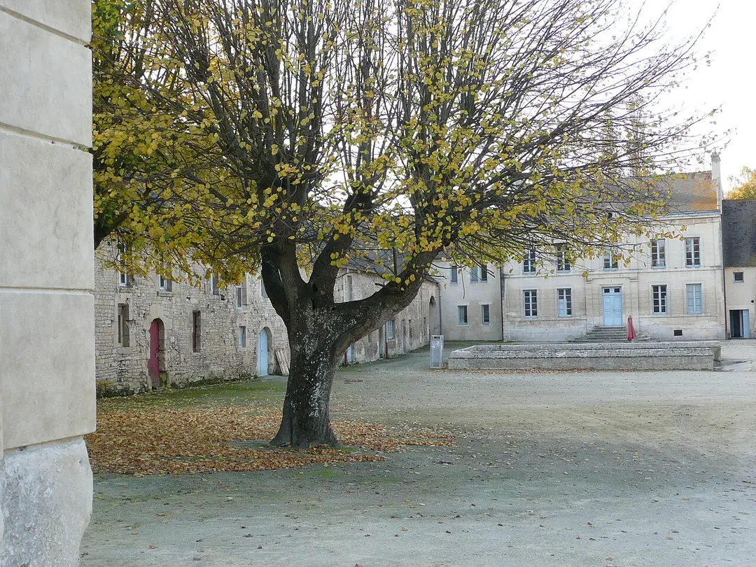 Abbaye d'Ardenne