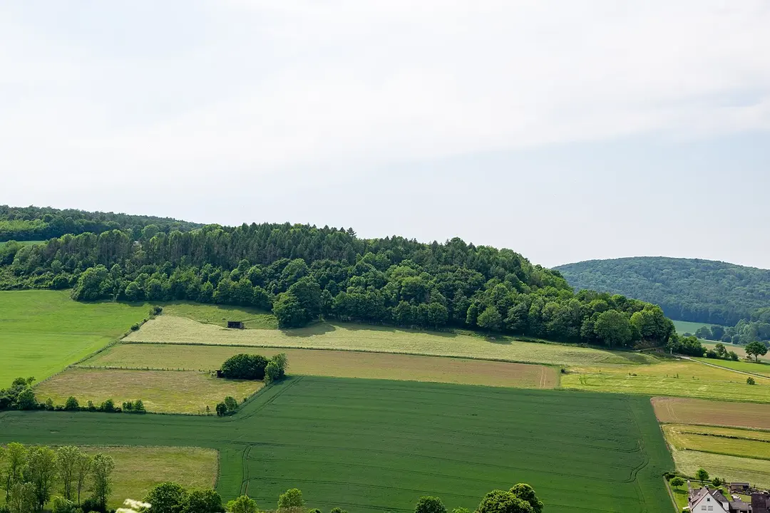 Auf dem Eschenberg