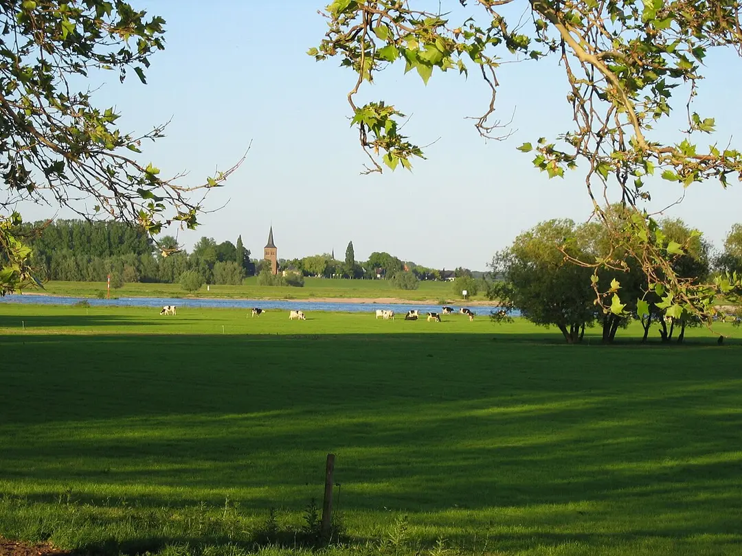 Rheinaue Bislich-Vahnum