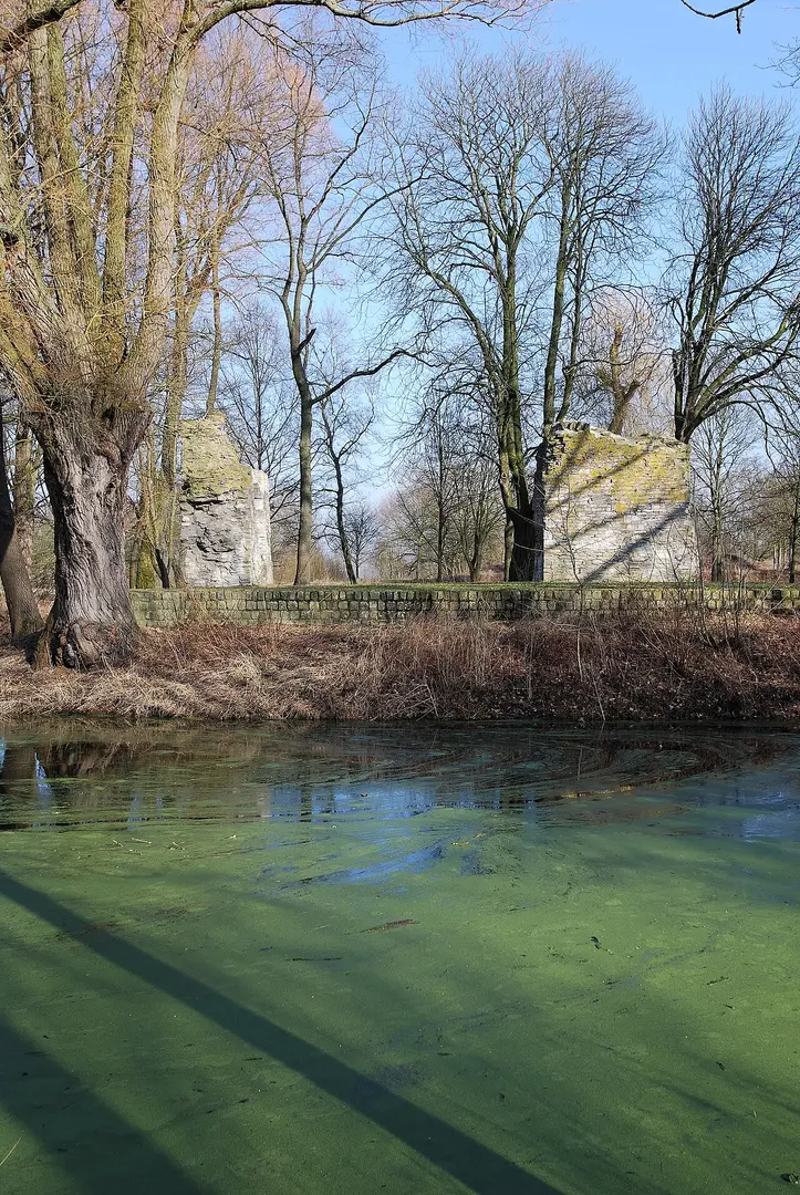 Burgruine Lipperode