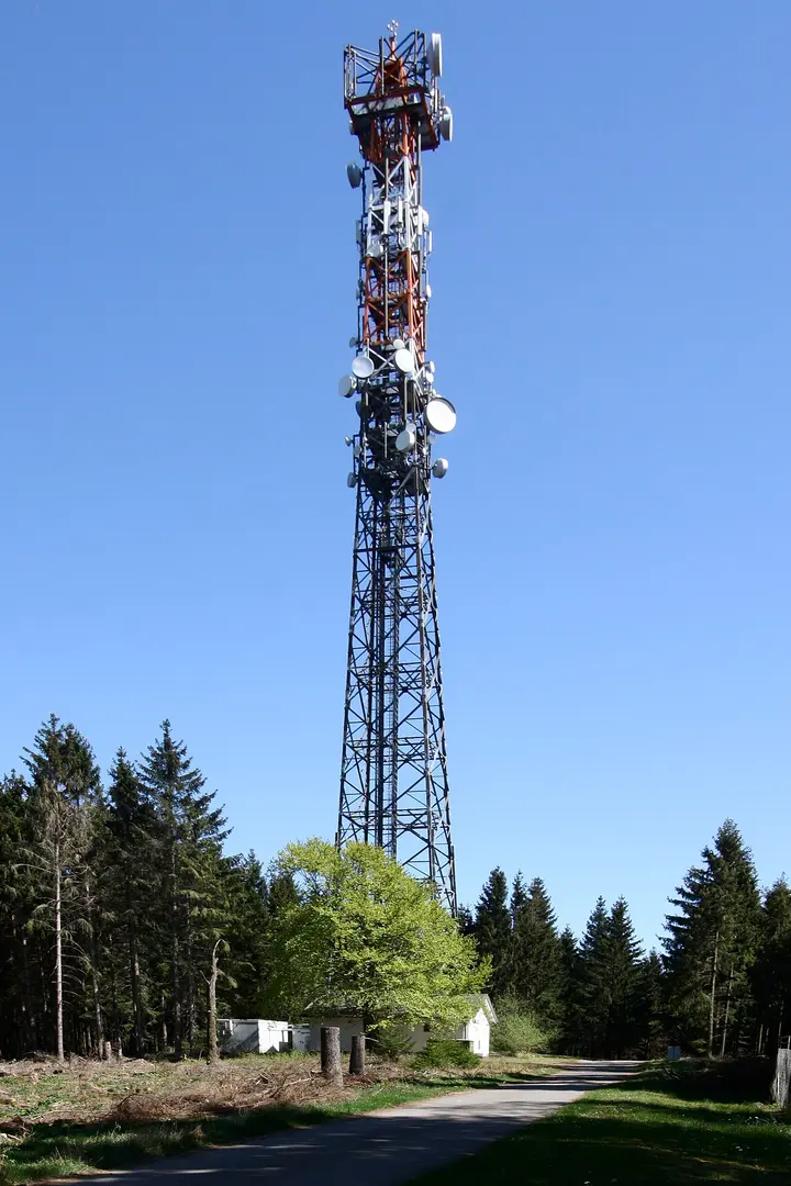 Alarmstange