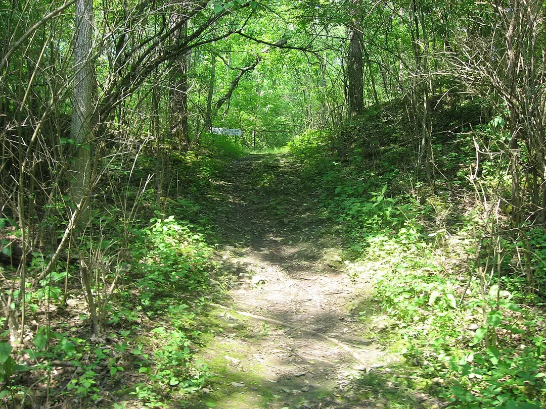 Indian Mound Reserve
