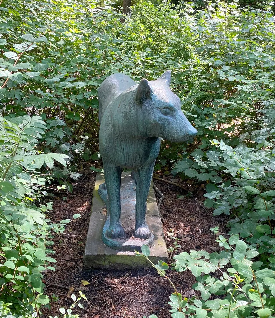 Wolf