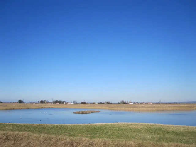 RSPB Blacktoft Sands