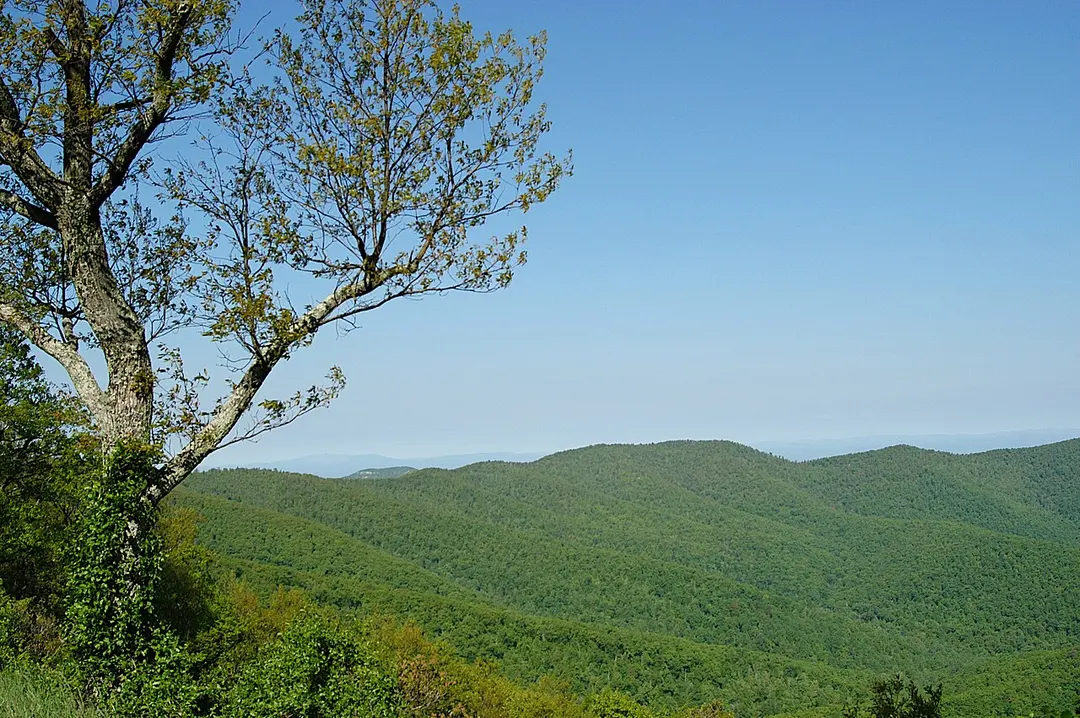 Big Run Overlook
