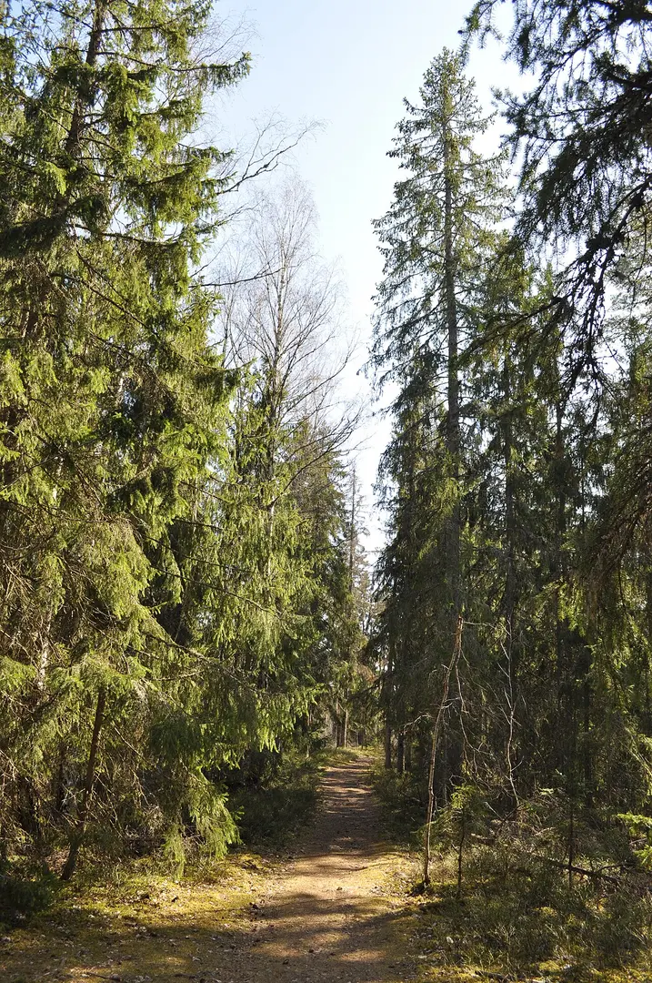 Malmköpings naturreservat