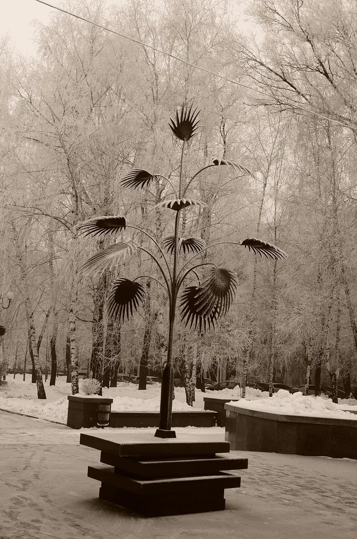 Mertsalov Palm