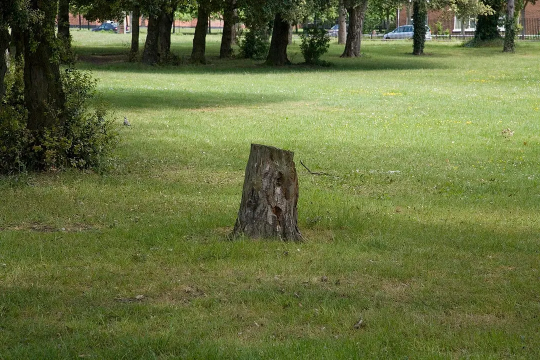 St Anne's Park