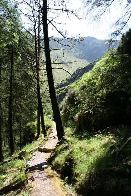 Gouganeharra Forest Park