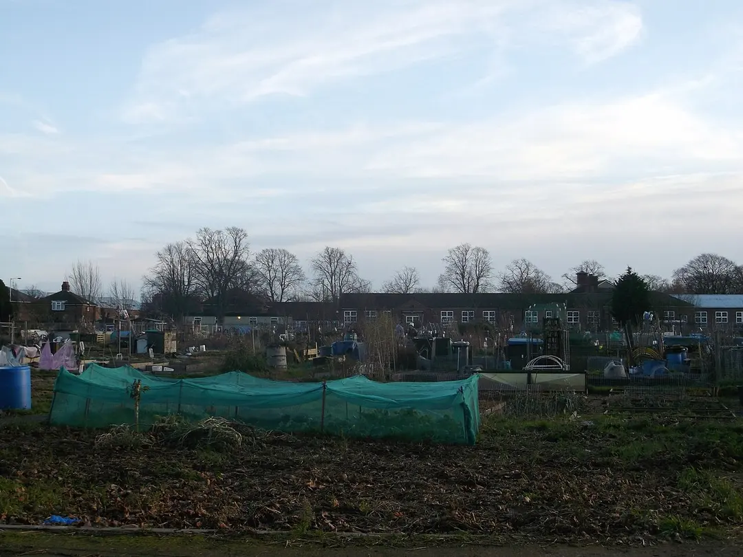 Barking Park