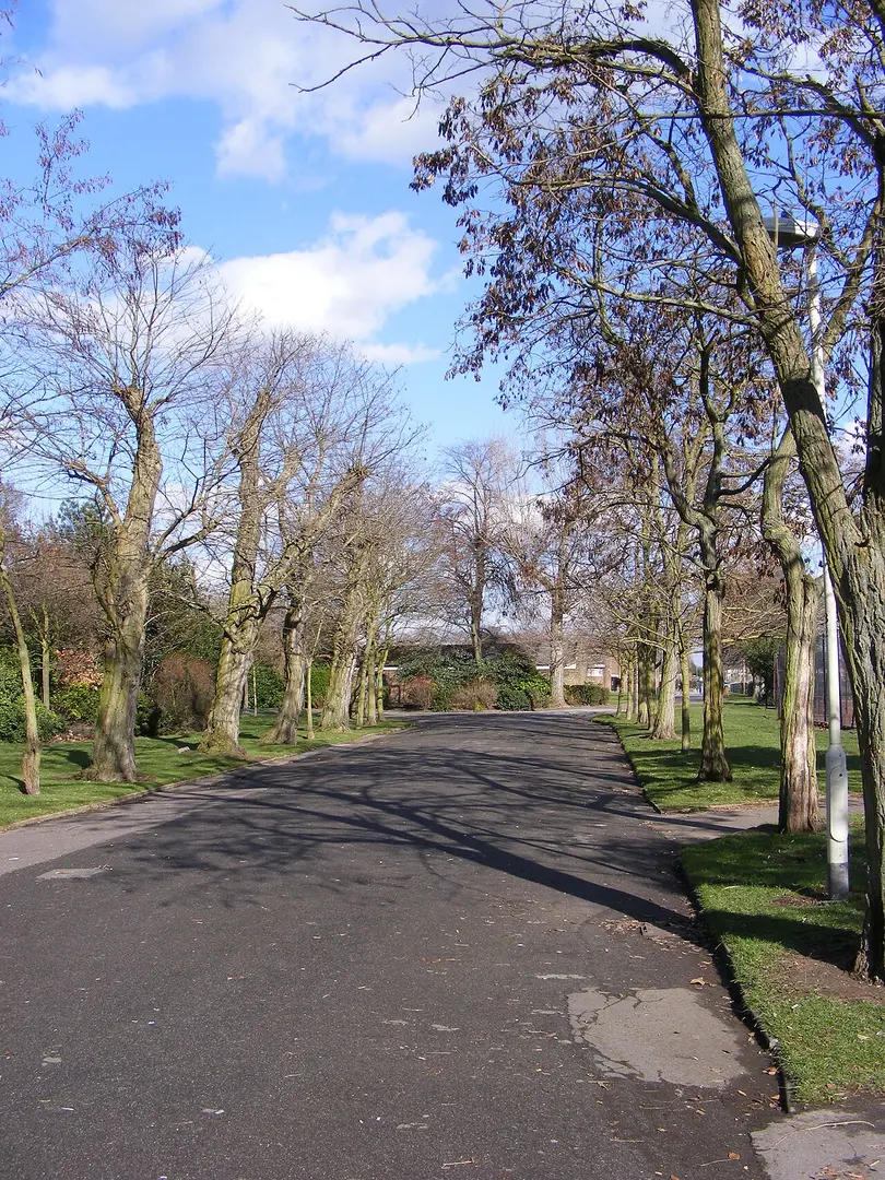 Barking Park