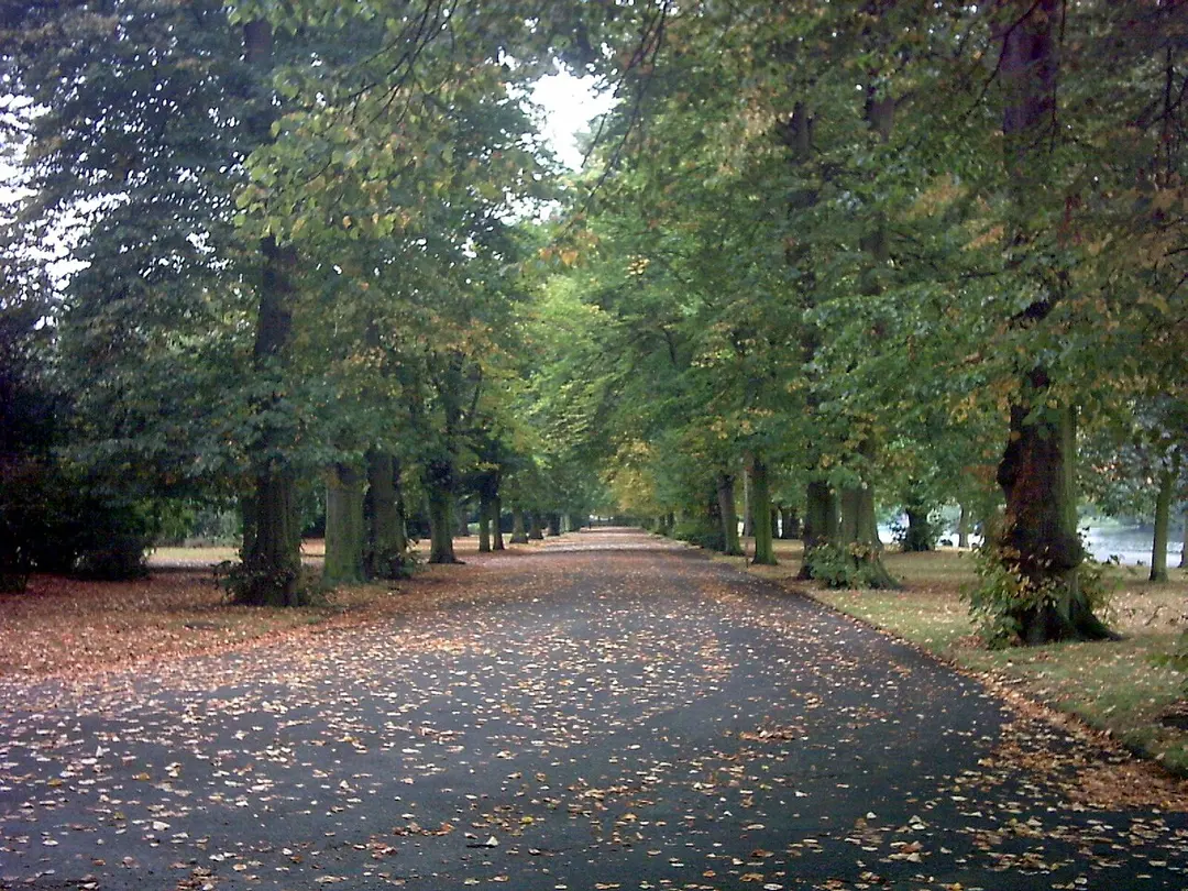 Barking Park