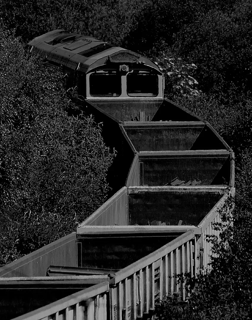 Potteric Carr Nature Reserve