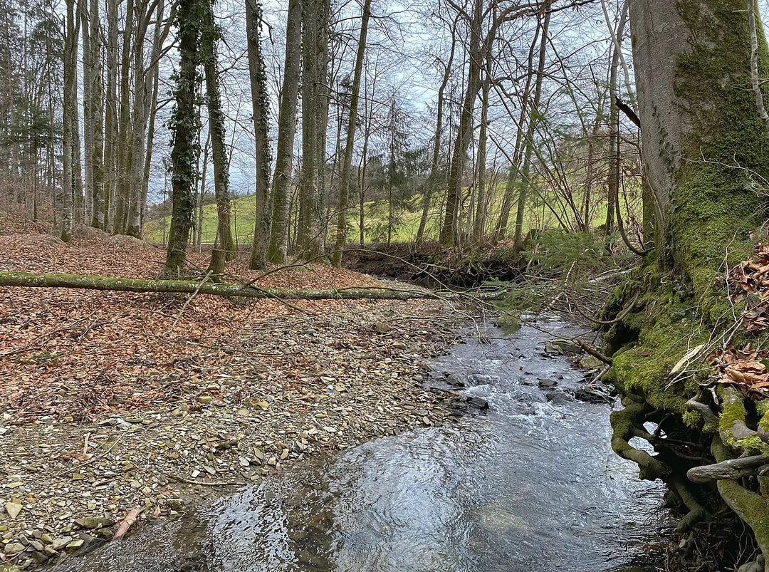 Aschach an der Steyr