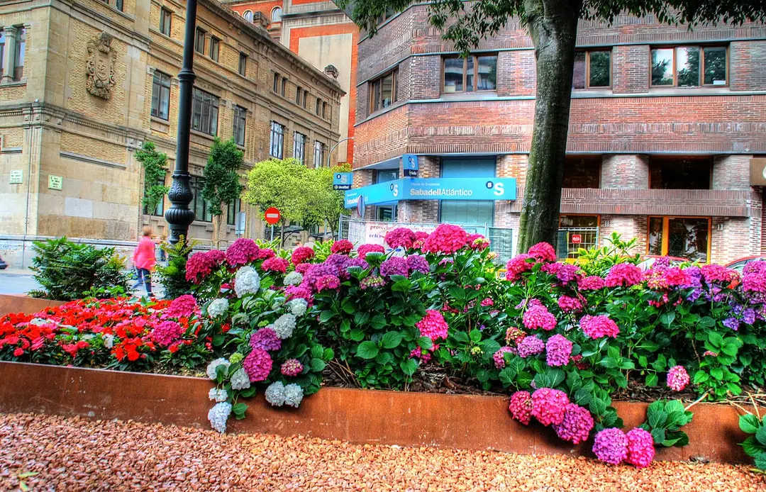 Paseo de Sarasate