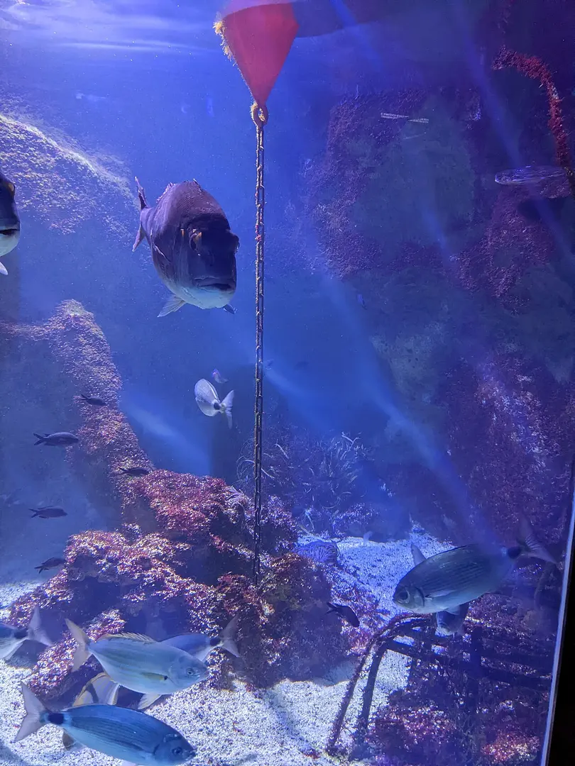 Aquarium de Lyon