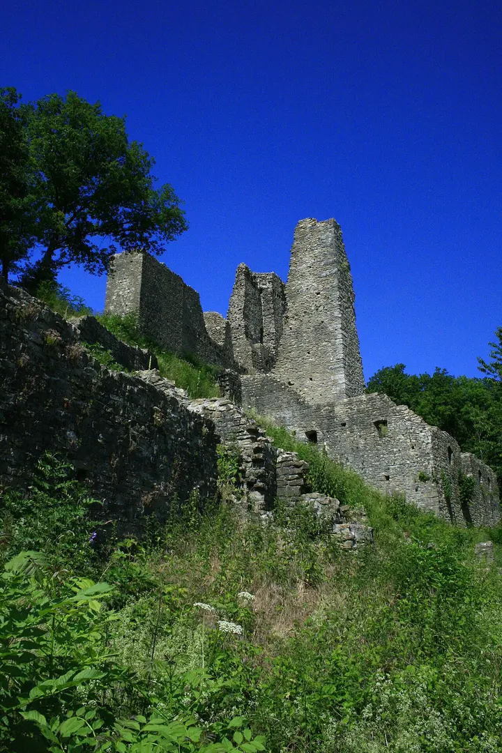 Burgruine Schenkenberg