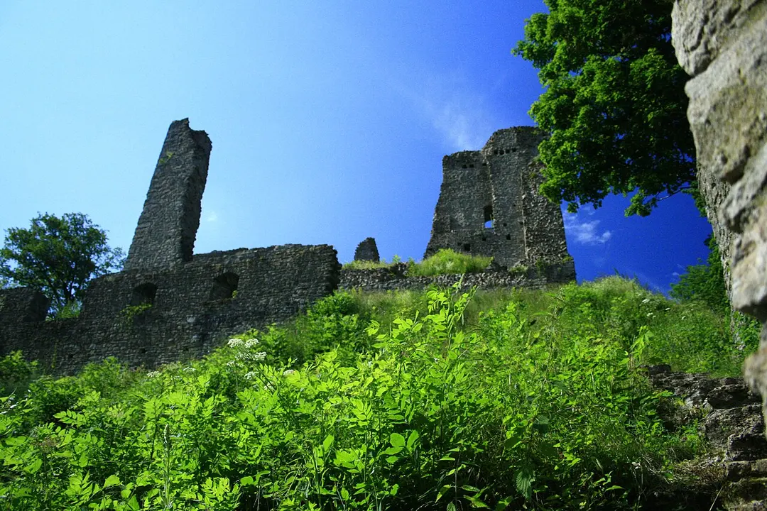 Burgruine Schenkenberg