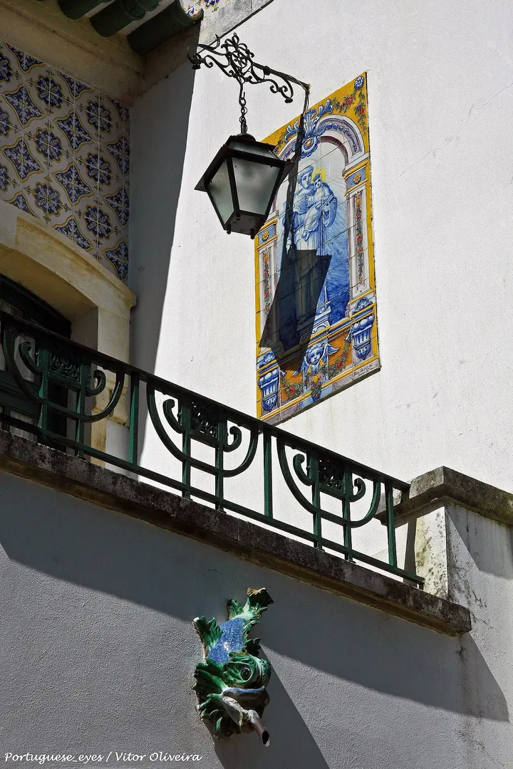 Casa-Museu de Egas Moniz