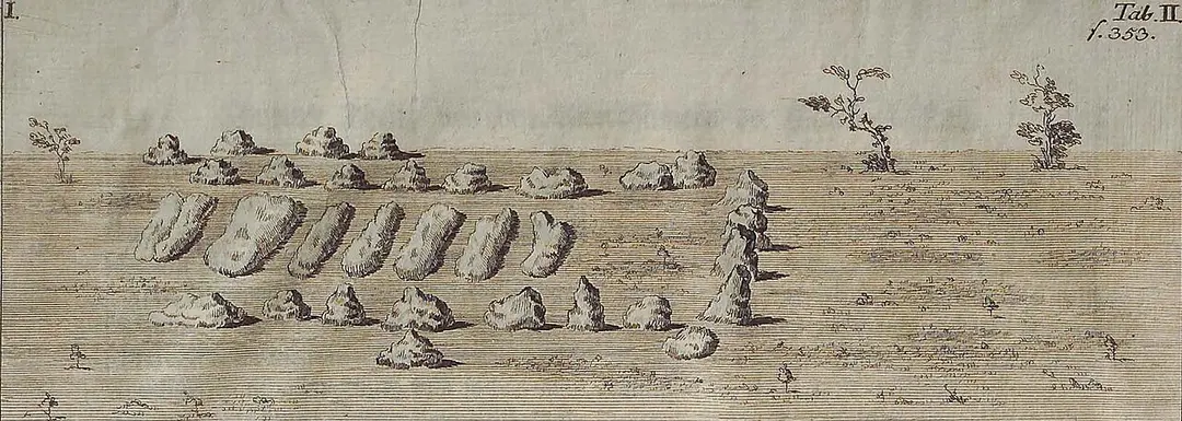 Großsteingrab Diesdorf 1