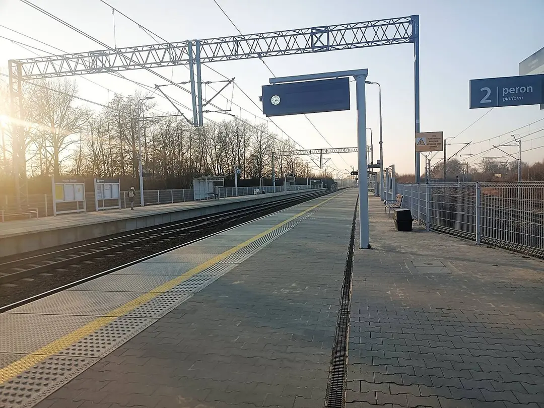 Kraków Złocień