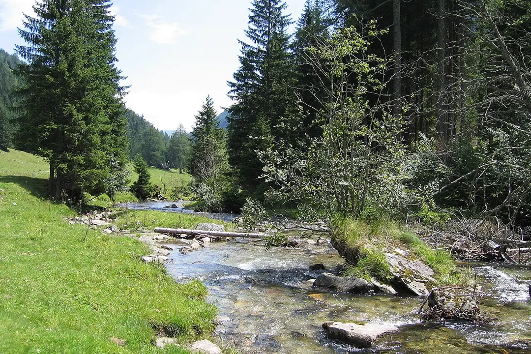 Lieser