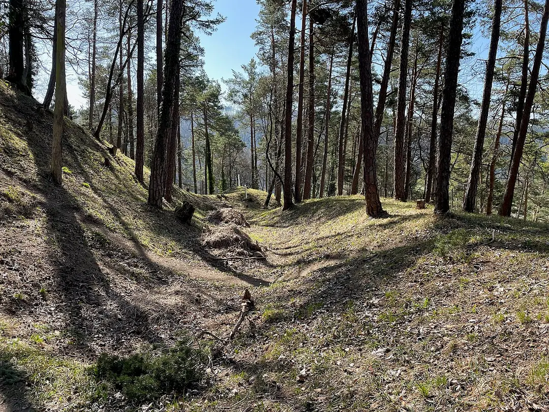 Burgstelle Multberg