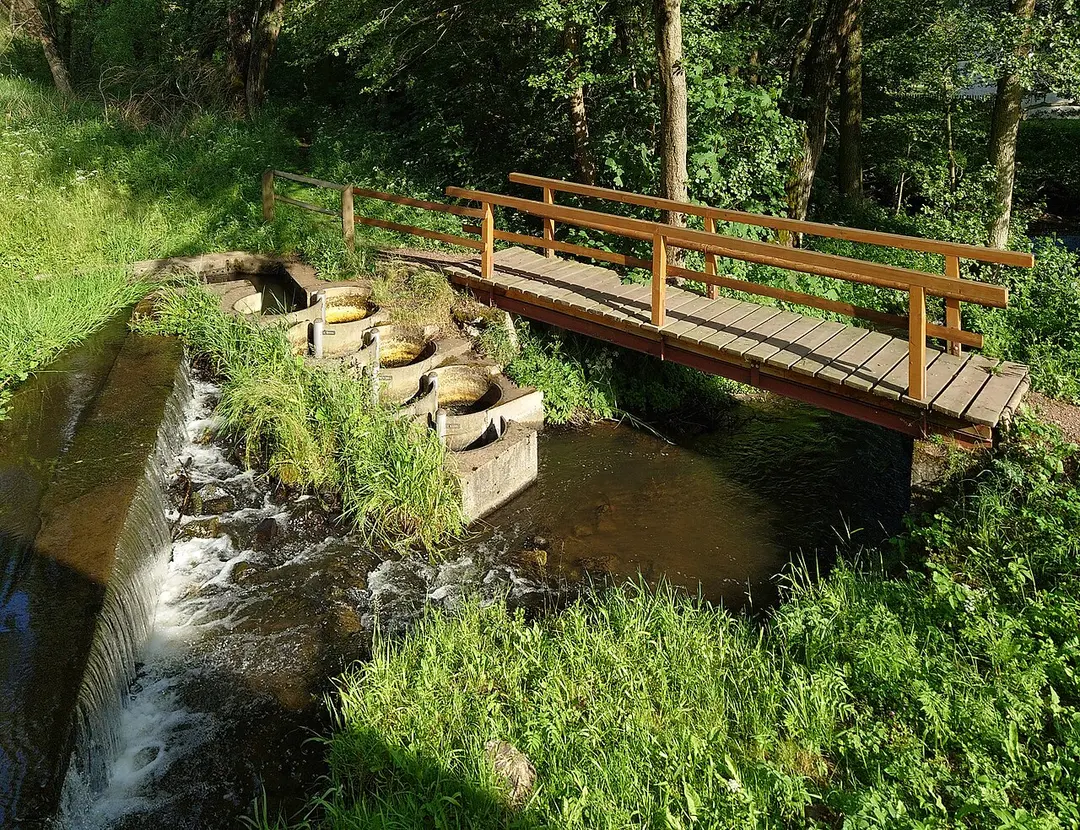 Großer Uhlenbach