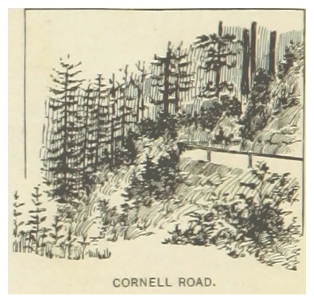 Northwest Cornell Road