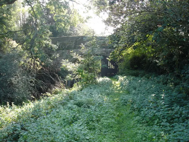 Swansea Bridge