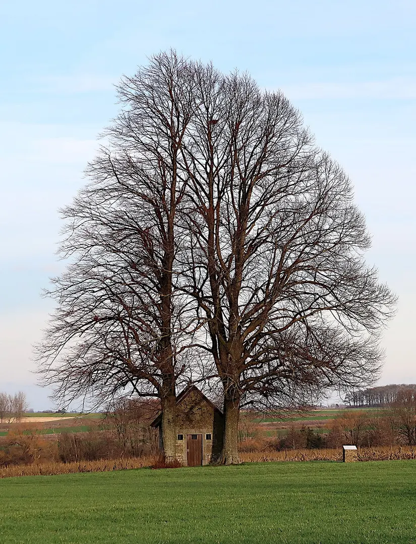Heilig Huisje