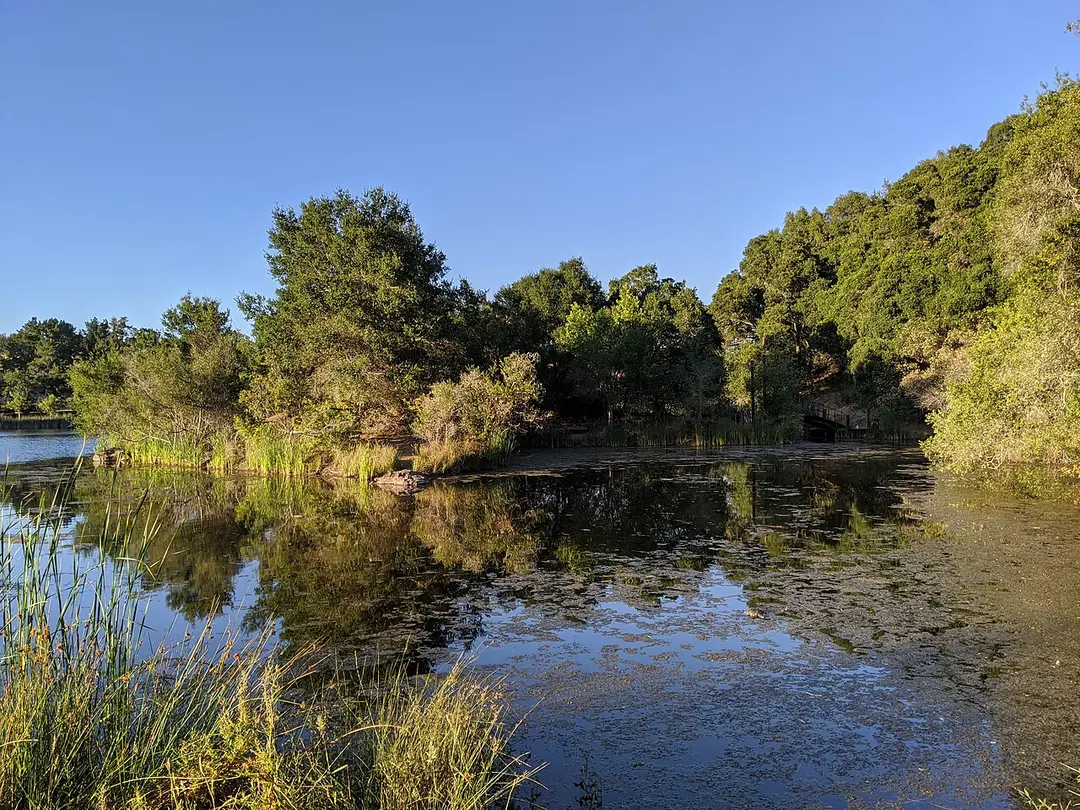 Foothills Nature Preserve