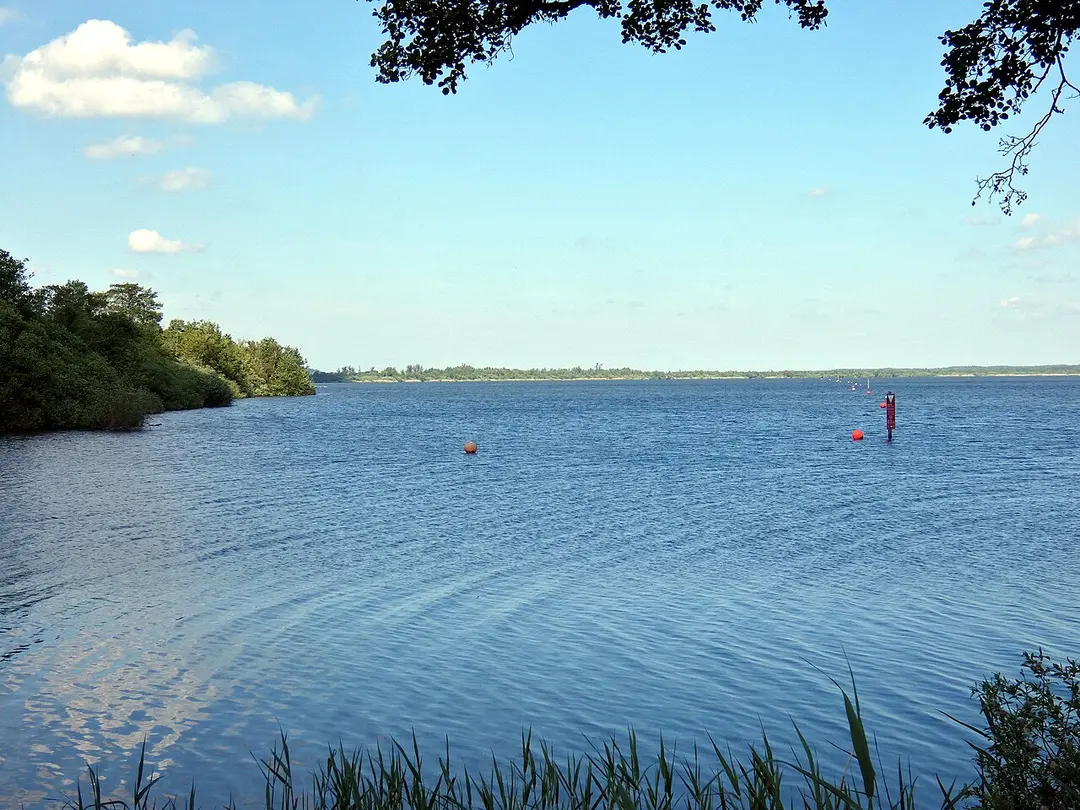 Hagenburger Moor