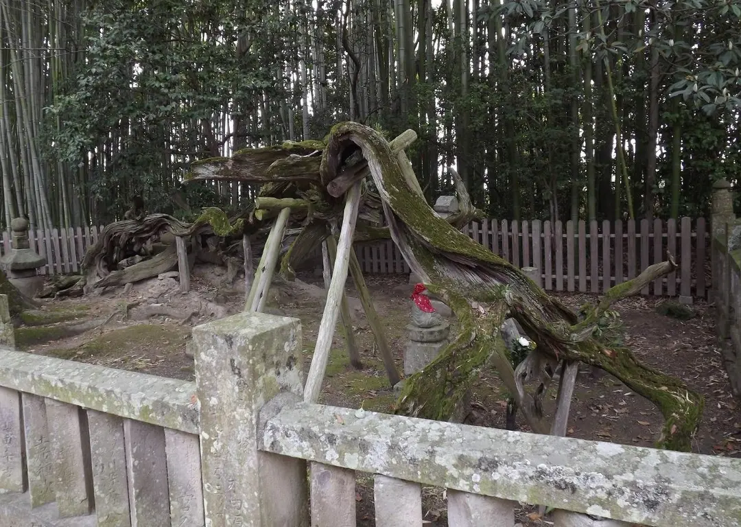 80 Sanuki Kokubun-ji
