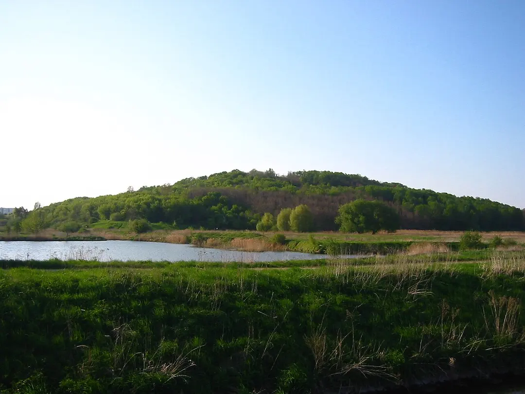 Wuhleteich