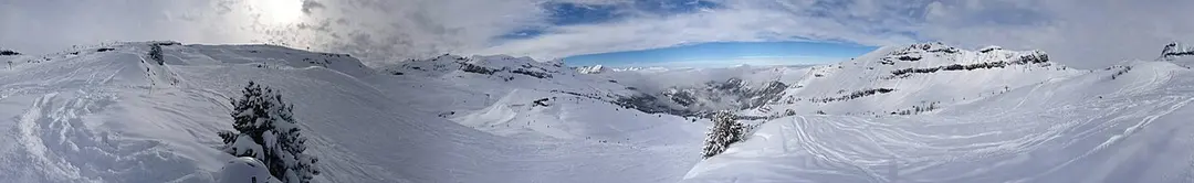 Tête de Balacha