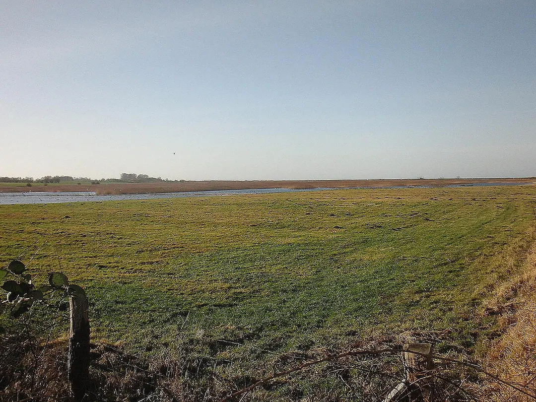 Riedensee