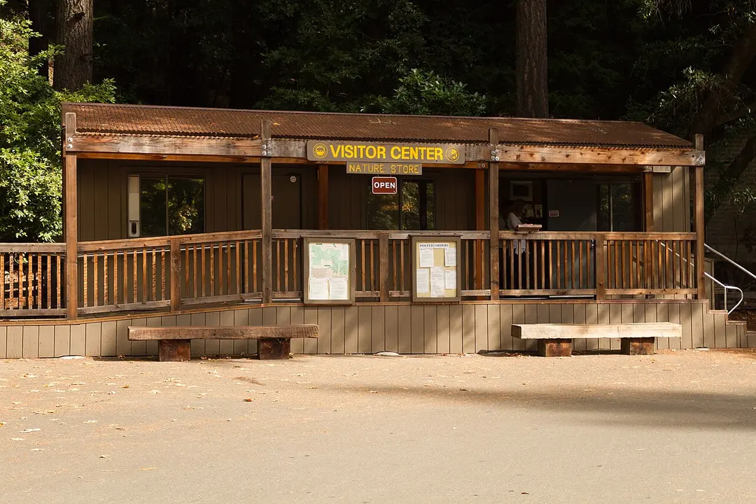 Armstrong Redwoods State Natural Reserve