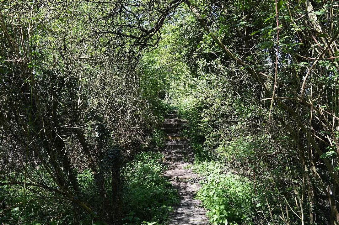 Uxbridge Alderglade